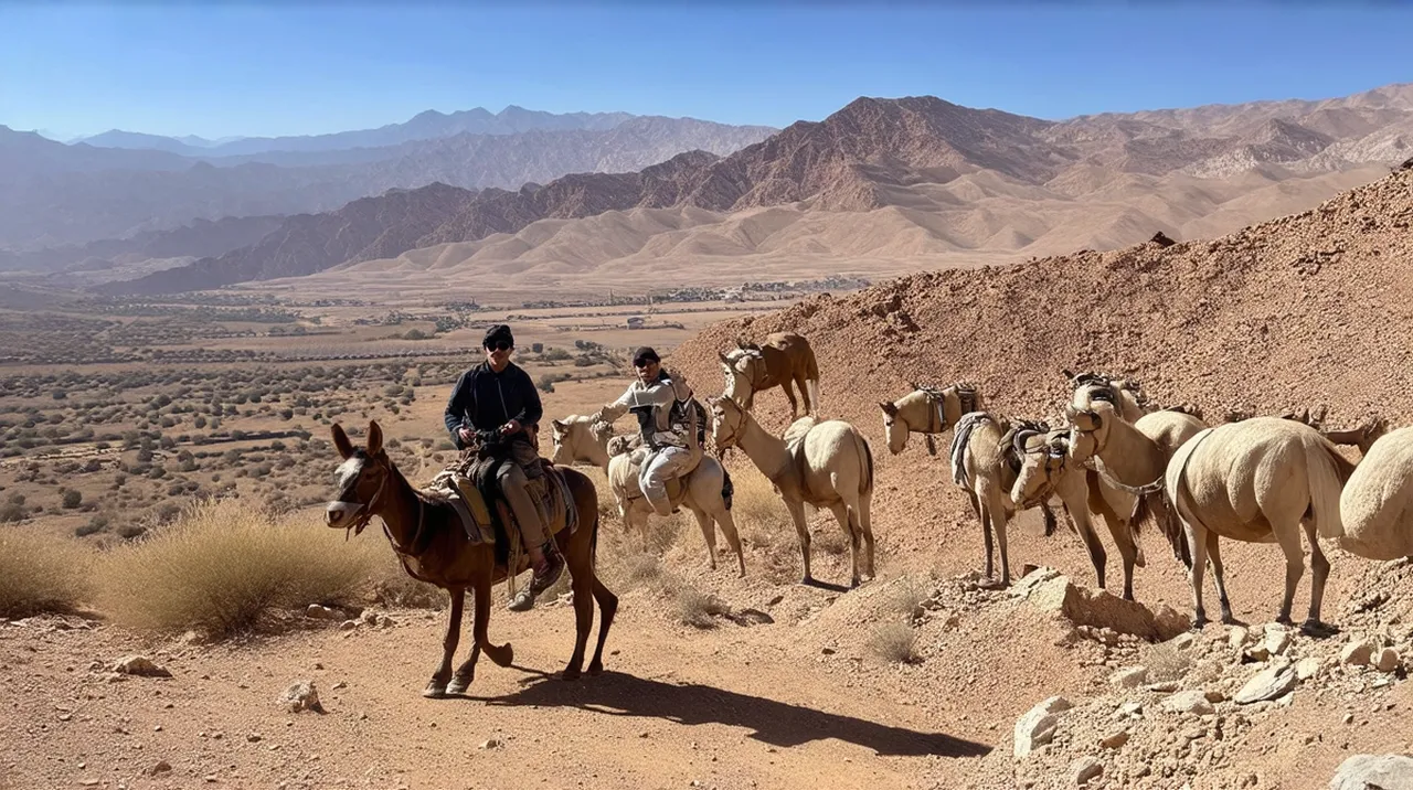 Tafraoute Activities
