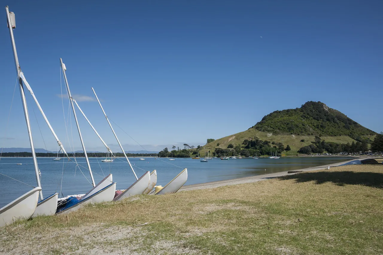 3. Tauranga Art Gallery: A Hub of Creativity and Culture