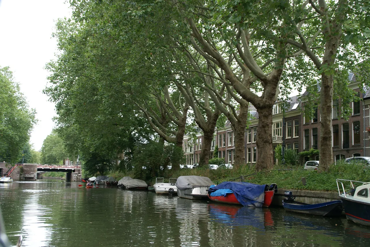 3. Cycling Around Utrecht: Your Perfect Adventure on Two Wheels