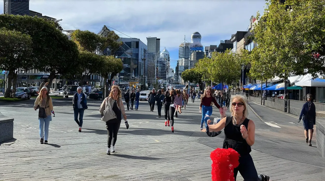 Wellington Activities
