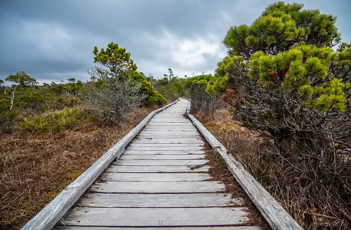 Afternoon: Hiking the Trails