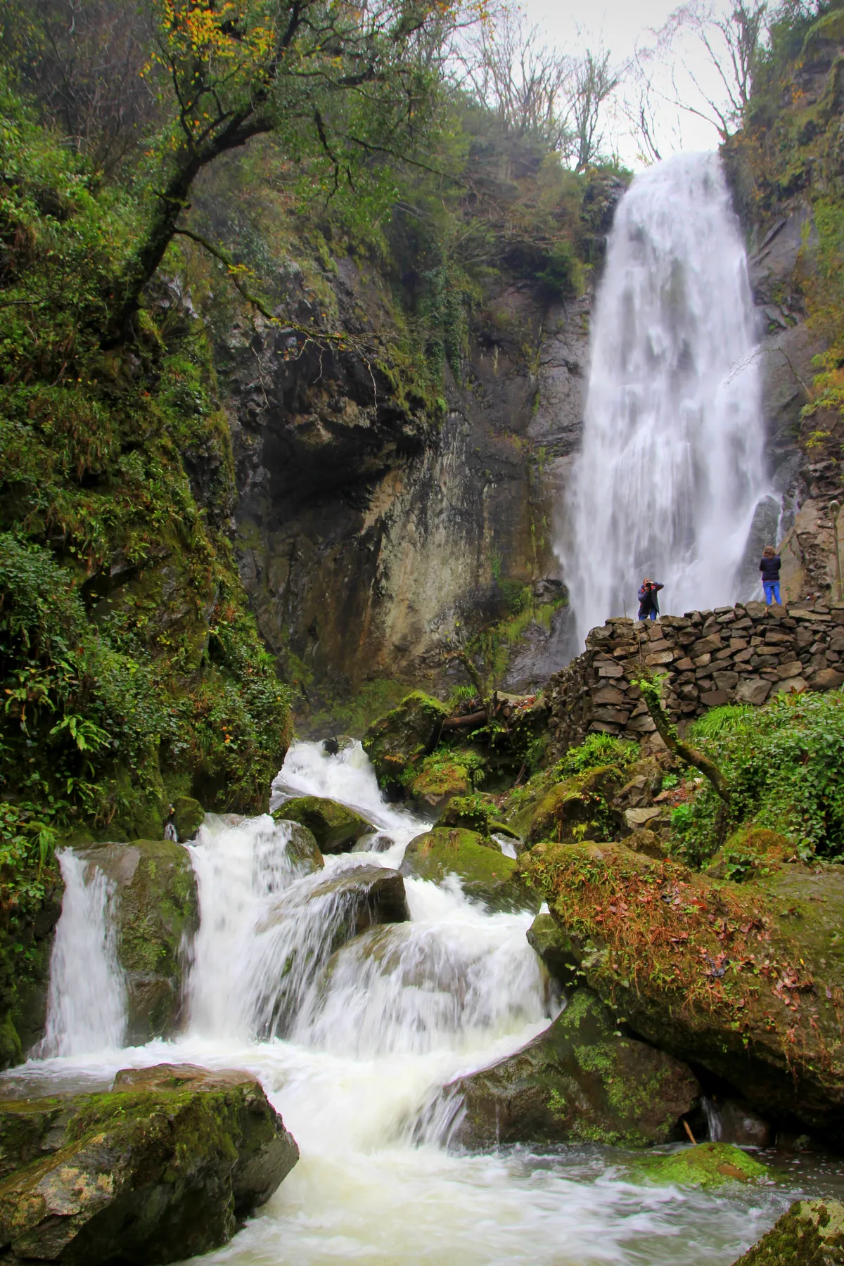 9am: Makhuntseti Waterfall