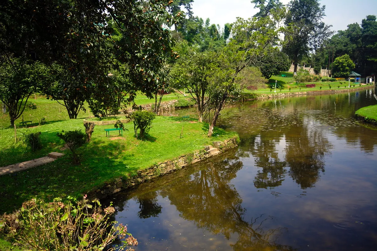 Midday: Ward’s Lake